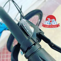 دوچرخه کوهستان ویوا Viva سایز 24