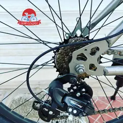 دوچرخه کوهستان ویوا Viva سایز 24