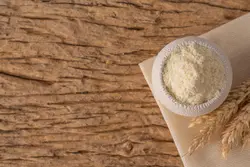 پودر جوانه گندم صادراتی آنید حجم 500 گرم - گروه محصولات سلامت محور آنید