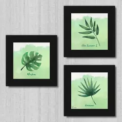 تابلو 3 تایی راویتا برگ کد T 188 - راویتا | Ravita