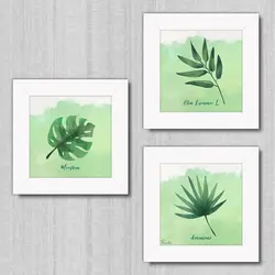 تابلو 3 تایی راویتا برگ کد T 188 - راویتا | Ravita