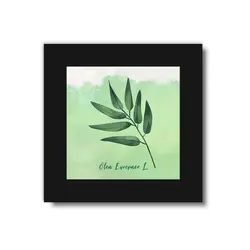 تابلو 3 تایی راویتا برگ کد T 188 - راویتا | Ravita