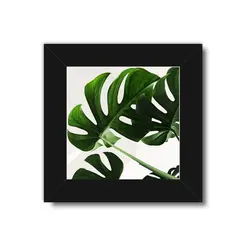 تابلو 3 تایی راویتا قاصدک و برگ کد T 205