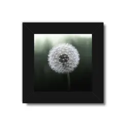 تابلو 3 تایی راویتا قاصدک و برگ کد T 205