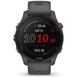 Garmin Forerunner® 255 (Slate Gray)