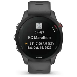 Garmin Forerunner® 255 (Slate Gray)