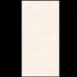 پرسلان دیوار طرح رایکا نانوپولیش 60*120 - شهر کاشی کریمی