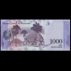 اسکناس ونزوئلا 1000 بولیوار - گالری چاو