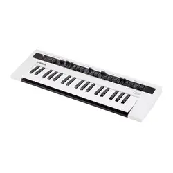 سینتی سایزر Yamaha Reface CS - پیشگامان صدا و نور | eyxpro