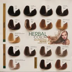 رنگ موی بدون آمونیاک پیکشن شماره  6.0بلوند تیره Piction COLOR DarkBlonde