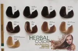 رنگ موی بدون آمونیاک پیکشن شماره  6.0بلوند تیره Piction COLOR DarkBlonde