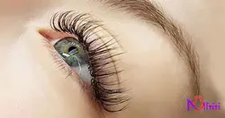 قیمت و خرید فرمژه دسته رنگی TITANUM||فروشگاه نار تی تی