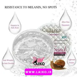 ژل کاسه ای آبرسان کلاژن چهار کاره حلزون Collagen Snail