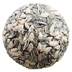 دانلود تکسچر تخمه 079