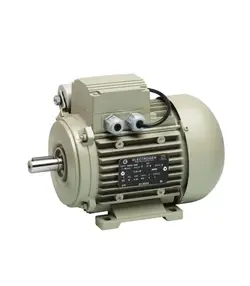 الکتروموتور الکتروژن تکفاز تک خازن (رله ای) 2 اسب 1.5 کیلووات 1500 دور