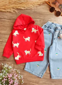 هودی وارداتی گربه