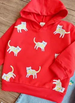 هودی وارداتی گربه