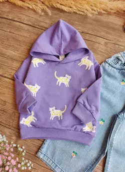 هودی وارداتی گربه