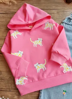 هودی وارداتی گربه