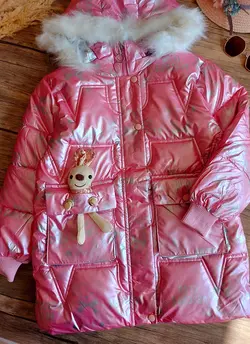 پالتو وارداتی دیسکویی
