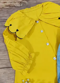 شومیز وارداتی دلسان