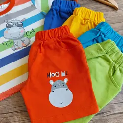 ست اسب آبی رنگین کمان - شیک و پیک