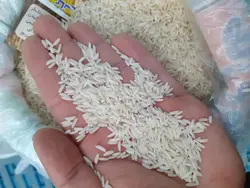 طارم فریدونکنار کیسه 10 کیلویی