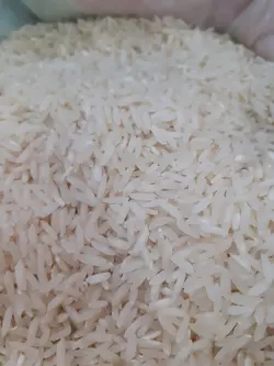 طارم فریدونکنار کیسه 10 کیلویی
