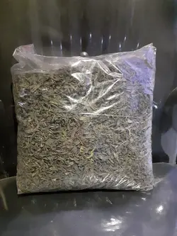 چای سبز گیلان 1 کیلویی