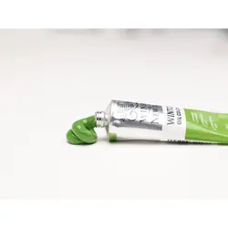 رنگ روغن وینزور وینتون