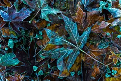 پوستر هنری کد 04030