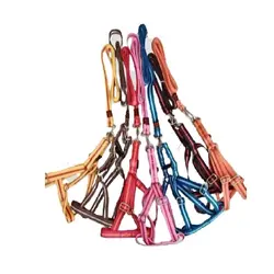 قلاده سگ کتفی مدل خط دار تیناپت | هایپرپت