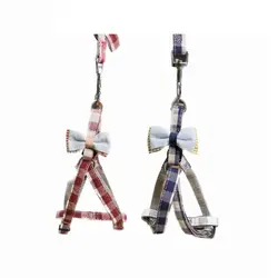 قلاده کتفی سگ پاپیون دار در دو رنگ | هایپرپت