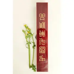 قلموی بزرگ موی بز با جعبه چوب مصنوعی