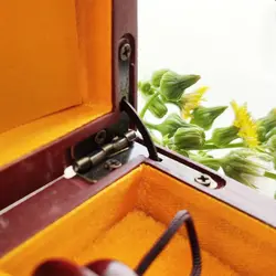 قلموی بزرگ موی بز با جعبه چوب مصنوعی