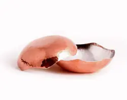 سالاد خوری سلنا مدل 2041