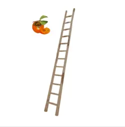نردبان چوبی 4 متری کد 154