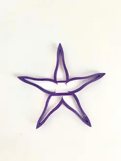 کاتر کاسبرگ کد a0021