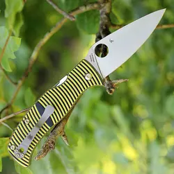 چاقو کارائیب اسپایدرکو Spyderco CARIBBEAN™ G-10 BLACK/YELLOW - خرید آنلاین لوازم و تجهیزات کمپینگ و کوهنوردی