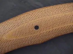 کارد بوکر زولینگن باکسر Böker Manufaktur Solingen Boxer Fixed - ثانی کمپینگ