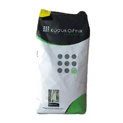 بذر لوبیا سبز سان ری کی سی ترکیه