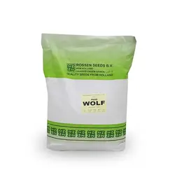 بذر نخود فرنگی ولف هلند