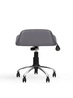 صندلی آزمایشگاهی انرژی D80