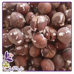 فندق شور - یک کیلویی