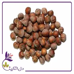 فندق خام - یک کیلویی