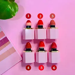 رژگونه مایع پددار TL&G | خرید رژ گونه