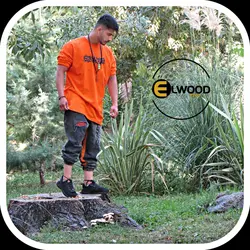 تیشرت لش الوود &bull; ال‌وود7707