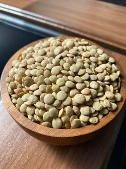 عدس سبز کانادایی سایز متوسط پاک شده درجه یک