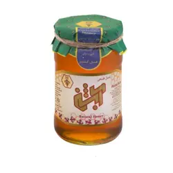 عسل گشنیز 390 گرمی آبشن باکس 9 عددی