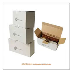 تقویم رومیزی چوبی 1402 Plant Place اصل فصل ها - پدیده نقش